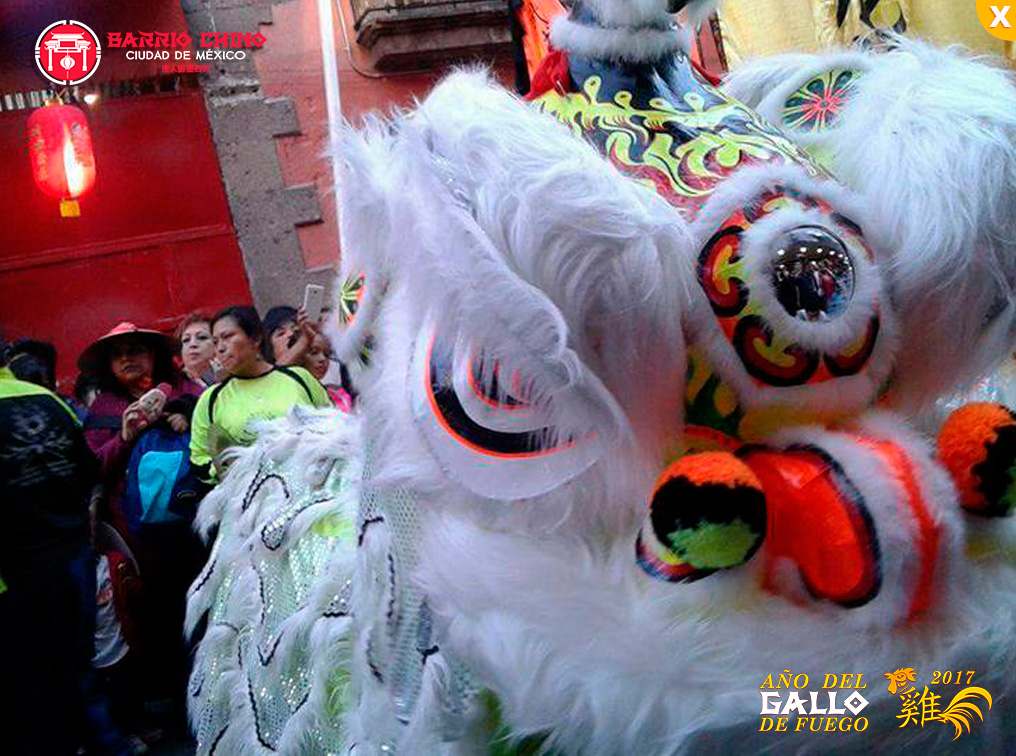 Celebración del Año Nuevo Chino-GALLO FUEGO 2017.