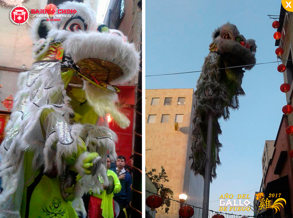 Celebración del Año Nuevo Chino-GALLO FUEGO 2017.