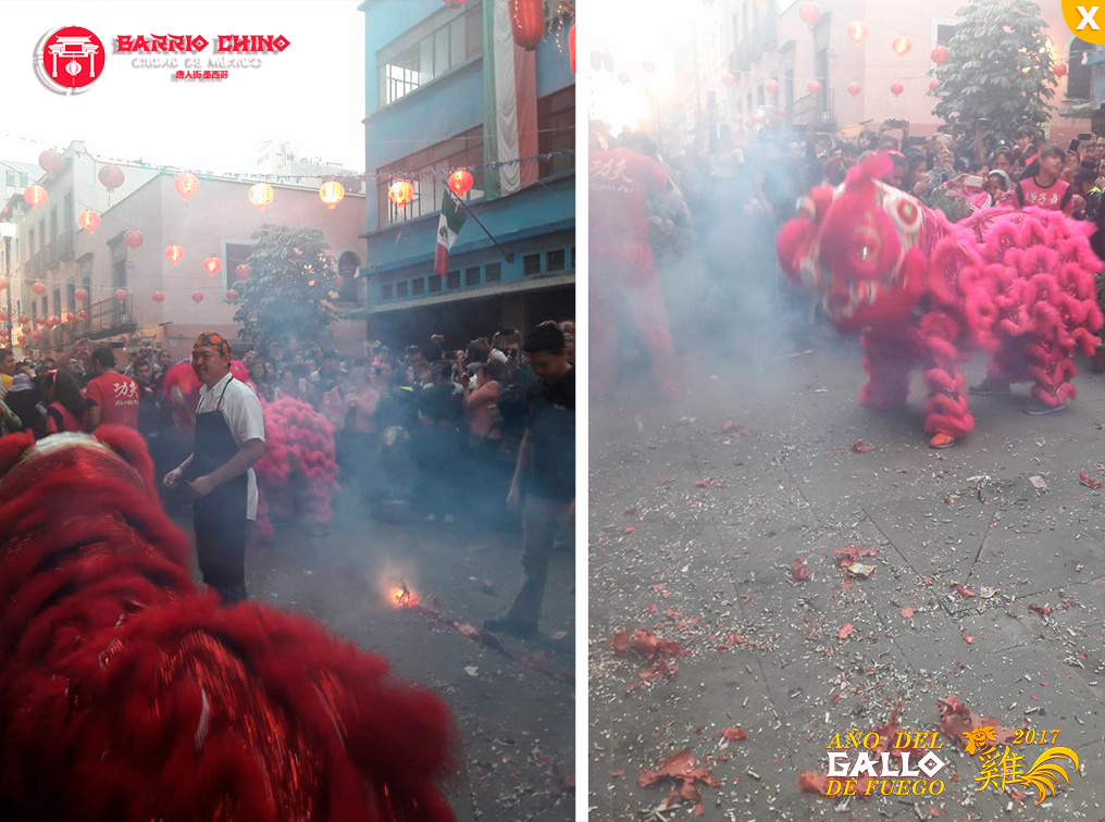 Celebración del Año Nuevo Chino-GALLO FUEGO 2017.