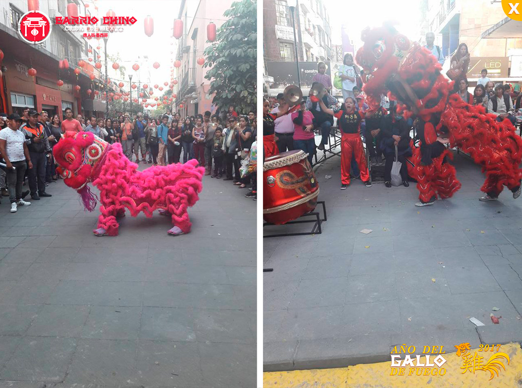 Celebración del Año Nuevo Chino-GALLO FUEGO 2017.