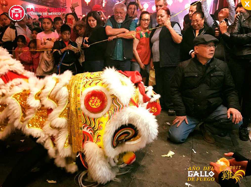 Celebración del Año Nuevo Chino-GALLO FUEGO 2017.