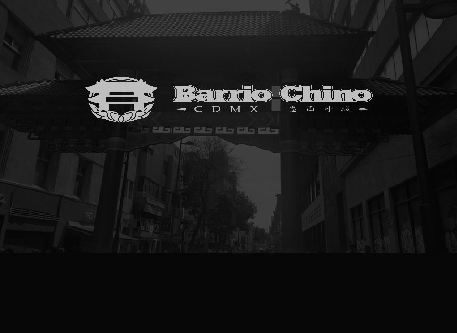 Comercializadora HK Tienda Barrio Chino CDMX